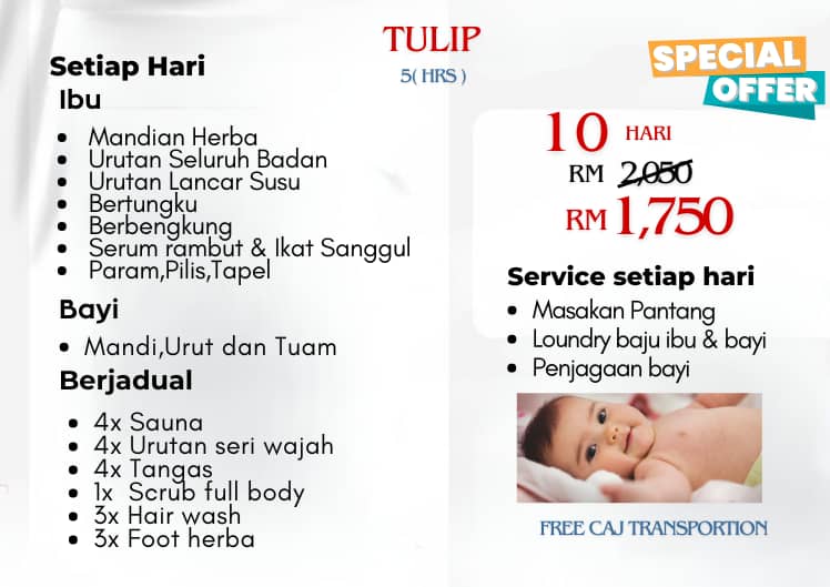 Promotion Half Day Tulip 10 days Image