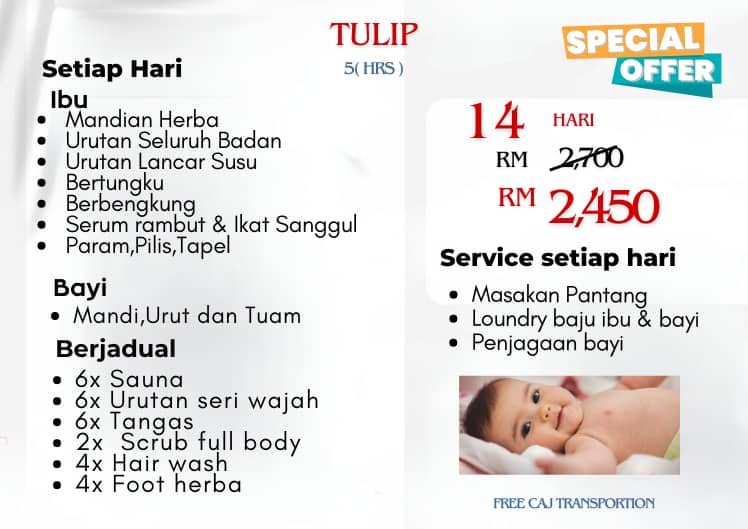 Promotion Half Day Tulip 14 days Image