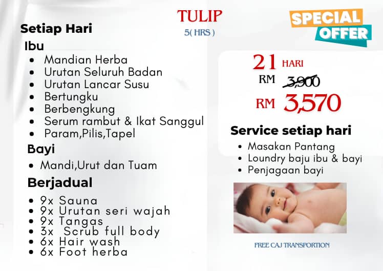 Promotion Half Day Tulip 21 days Image