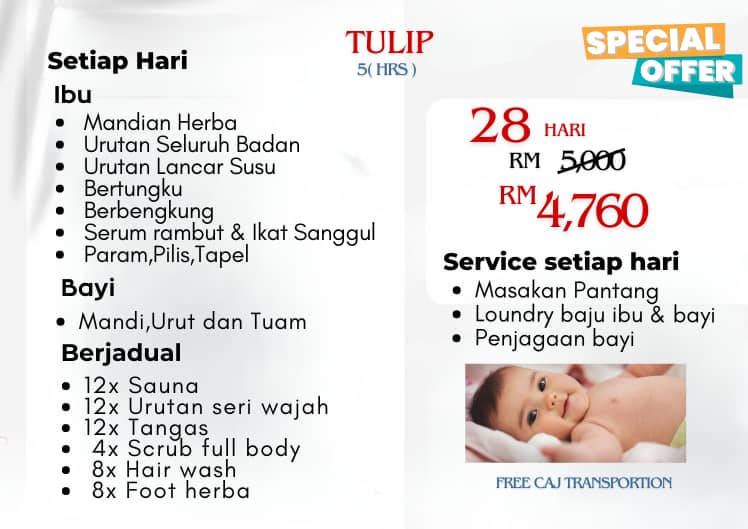 Promotion Half Day Tulip 28 days Image