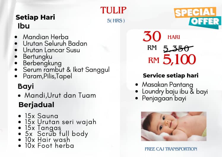 Promotion Half Day Tulip 30 days Image