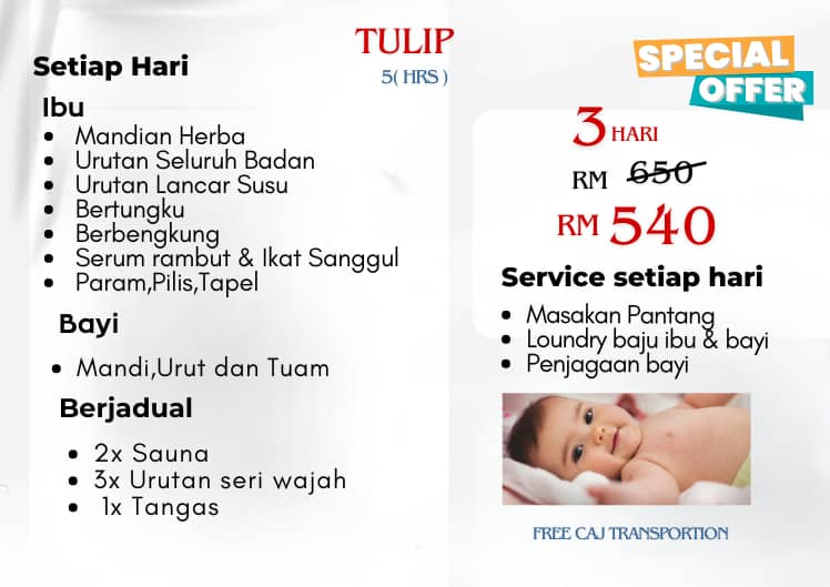 Promotion Half Day Tulip 3 days Image
