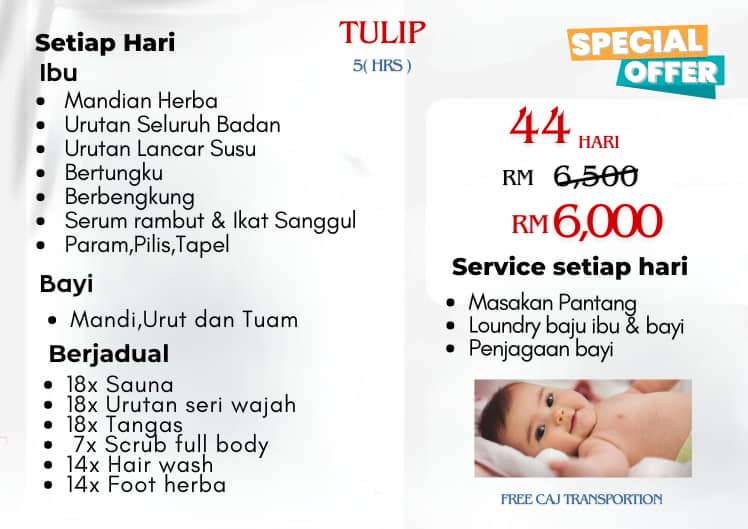 Promotion Half Day Tulip 44 days Image