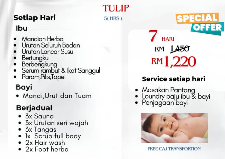 Promotion Half Day Tulip 7 days Image